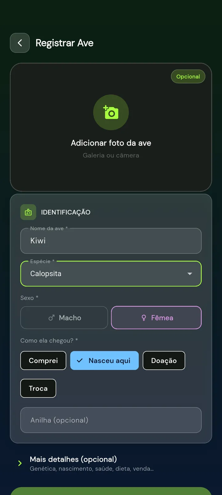 Tela Registrar Ave: nome Kiwi, espécie Calopsita, sexo fêmea e origem Nasceu aqui, com foto e anilha opcionais.